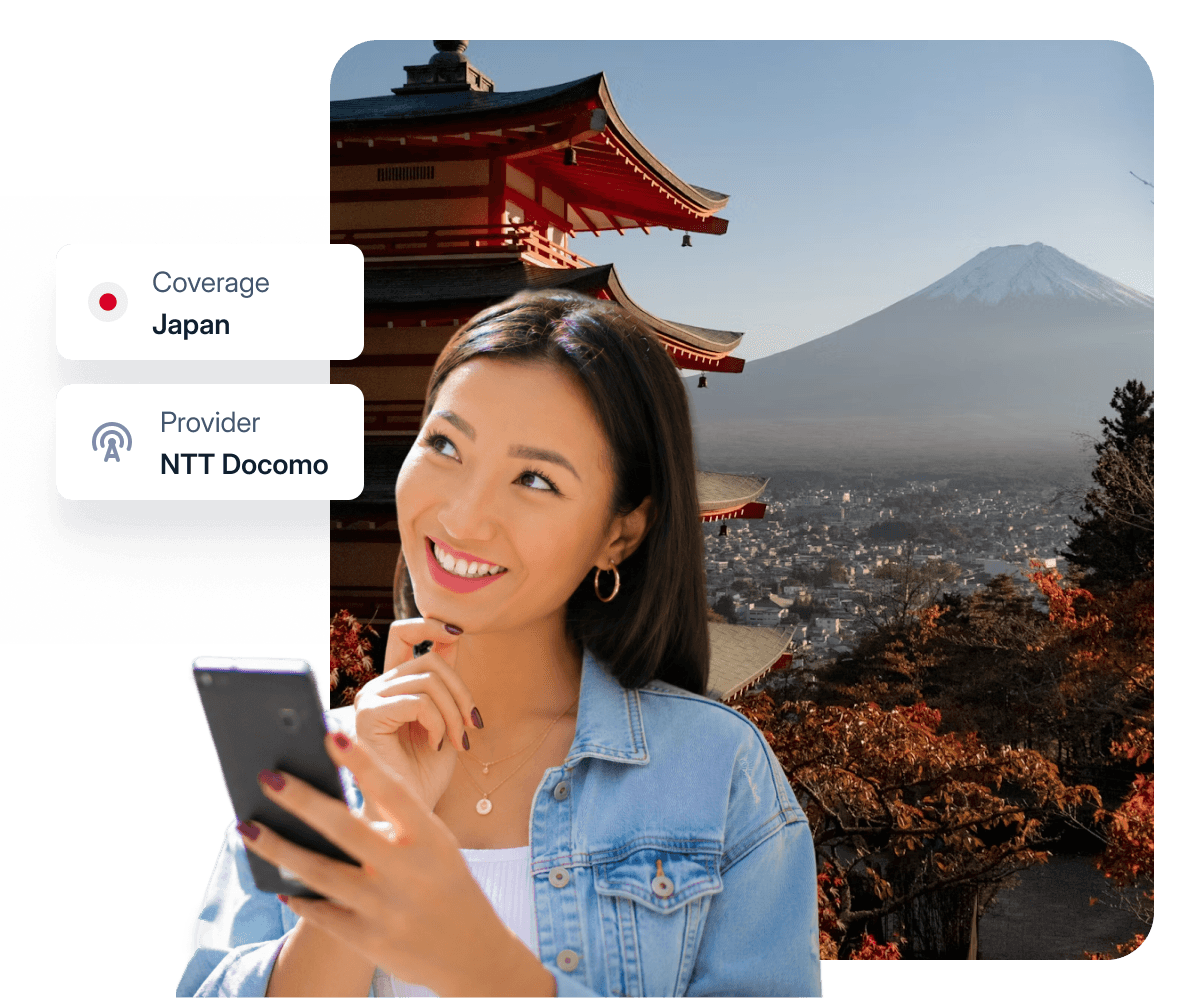 A traveller in Japan connected through a local network