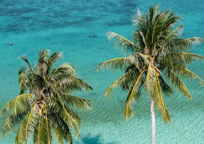 Bahamas
