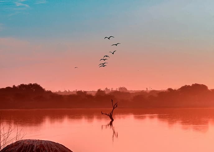 botswana