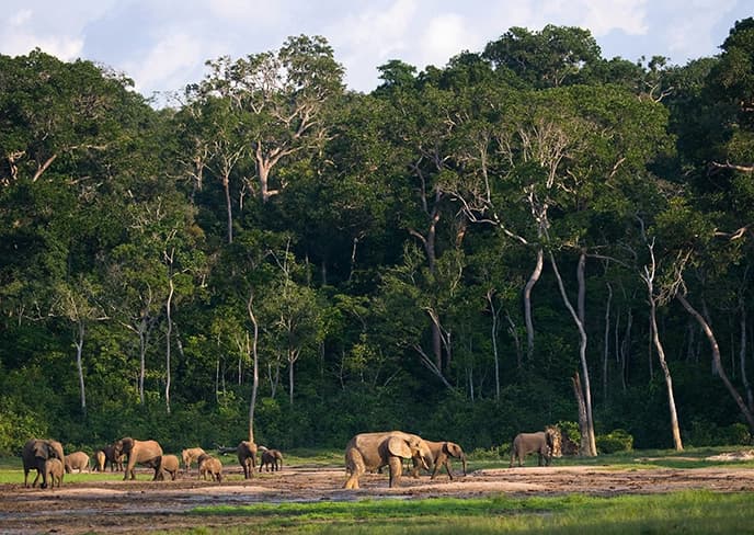 Central African Republic