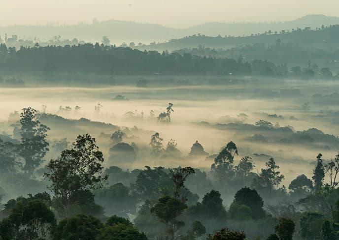 Cameroon