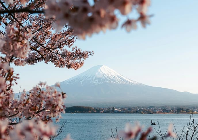 Japan