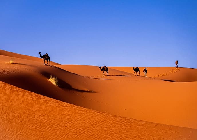 Morocco