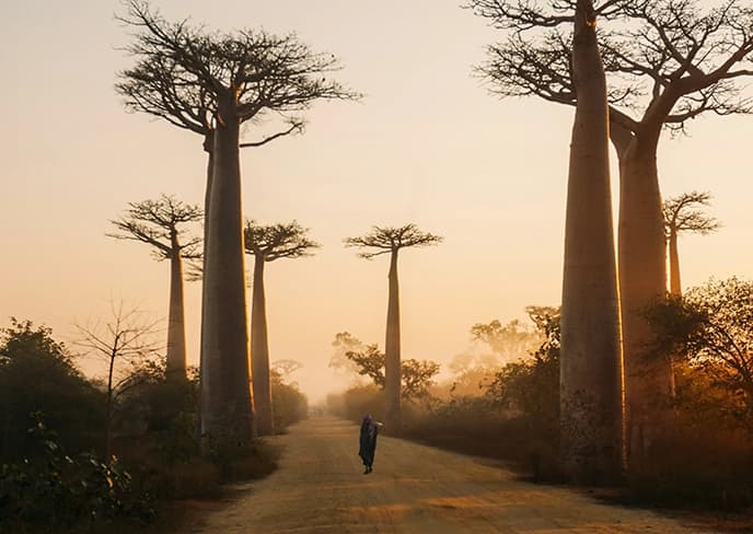 Madagascar