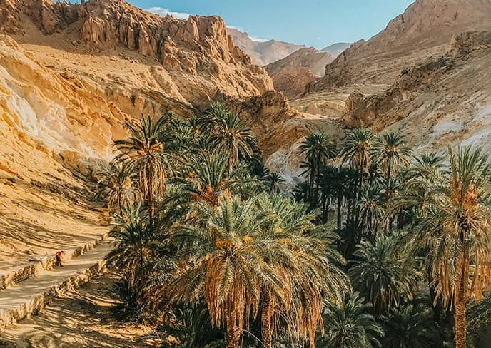 Tunisia