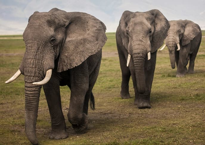 Tanzania