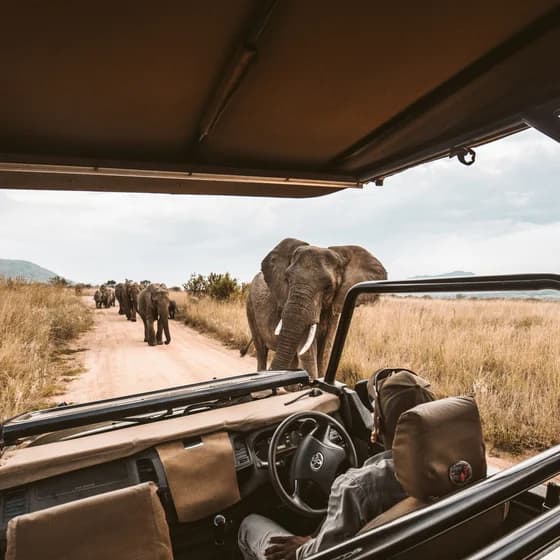Africa