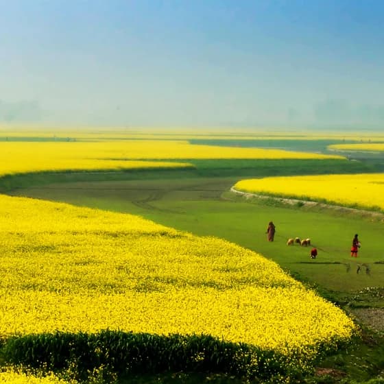 Bangladesh