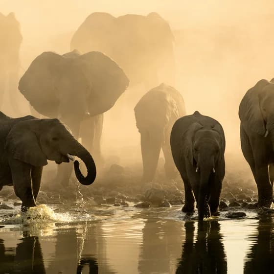 botswana