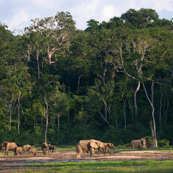 Central African Republic