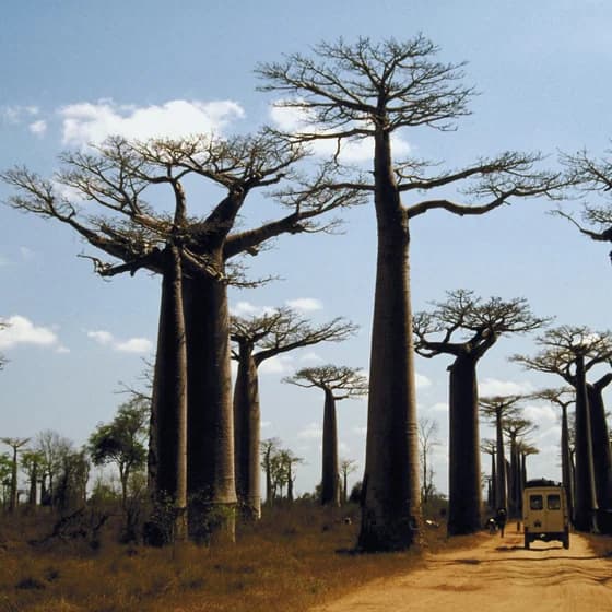 Madagascar