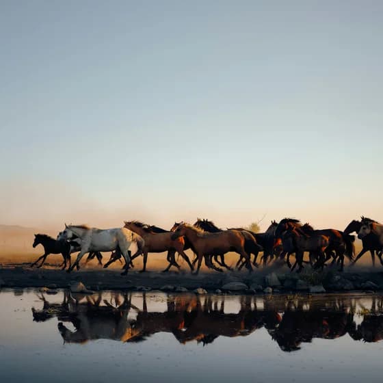 Mongolia