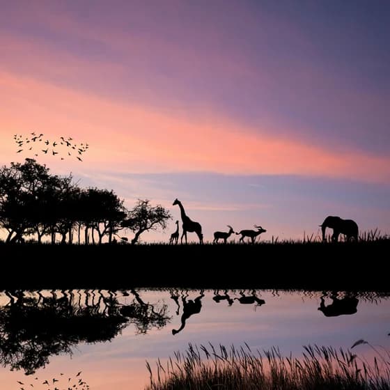 Tanzania