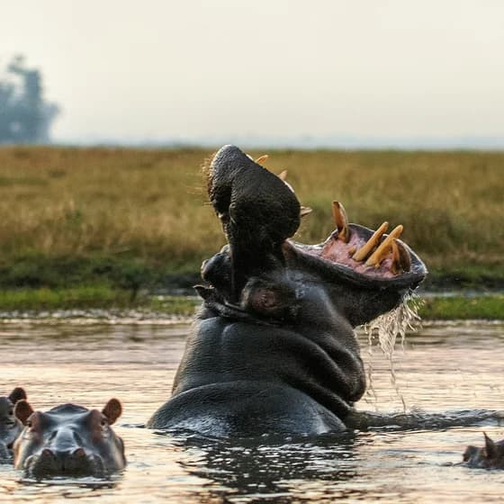 Uganda