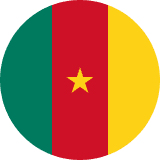 Cameroon flag
