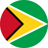 Guyana flag